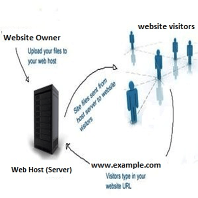 SEO Interview Questions